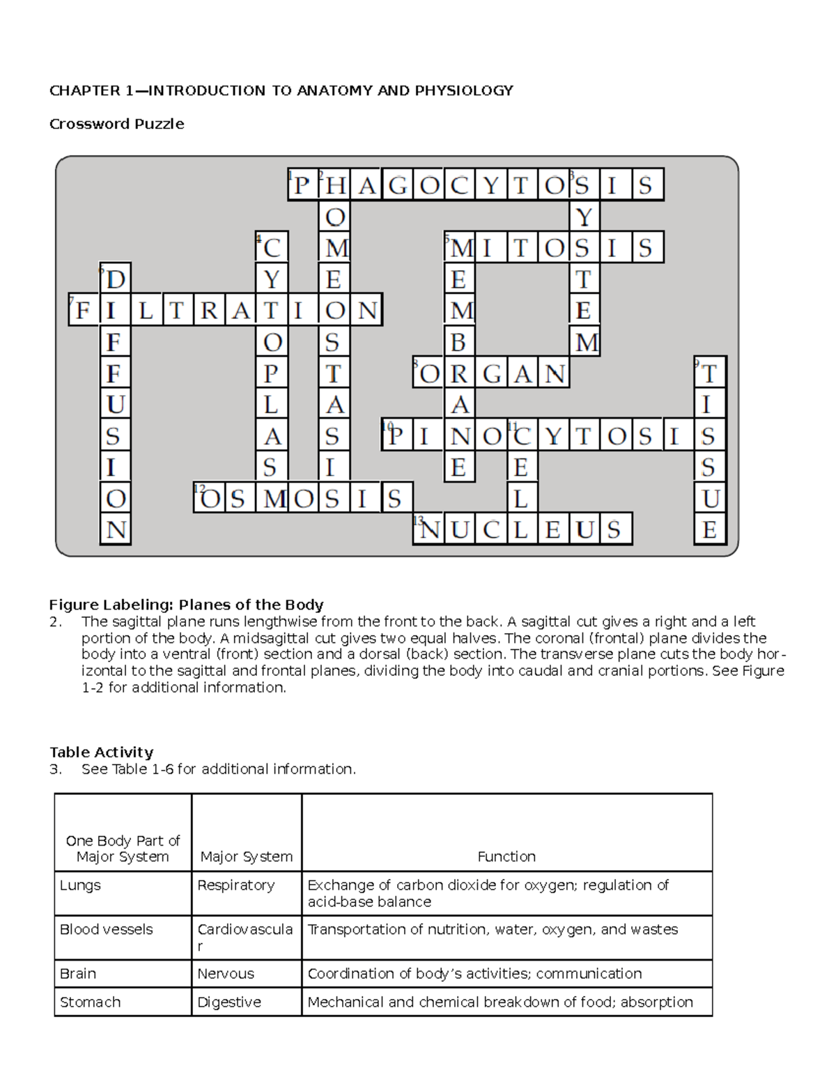 arthritis crossword puzzles printable easy