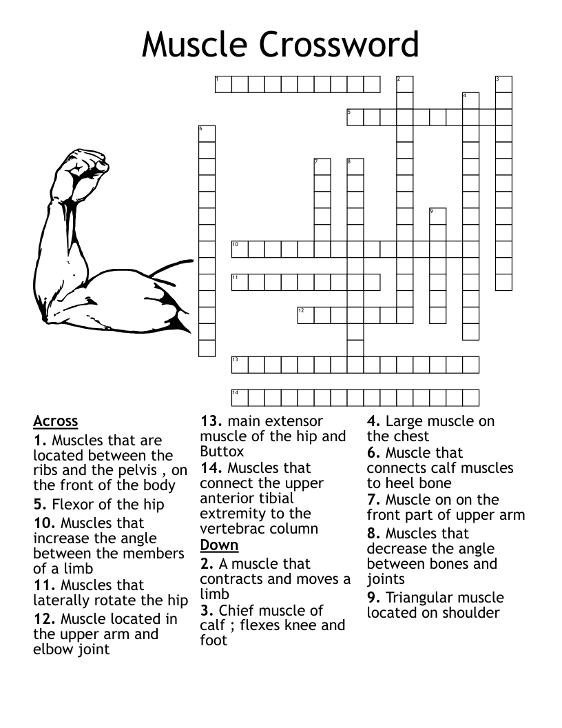 free printable anatomy crossword puzzles