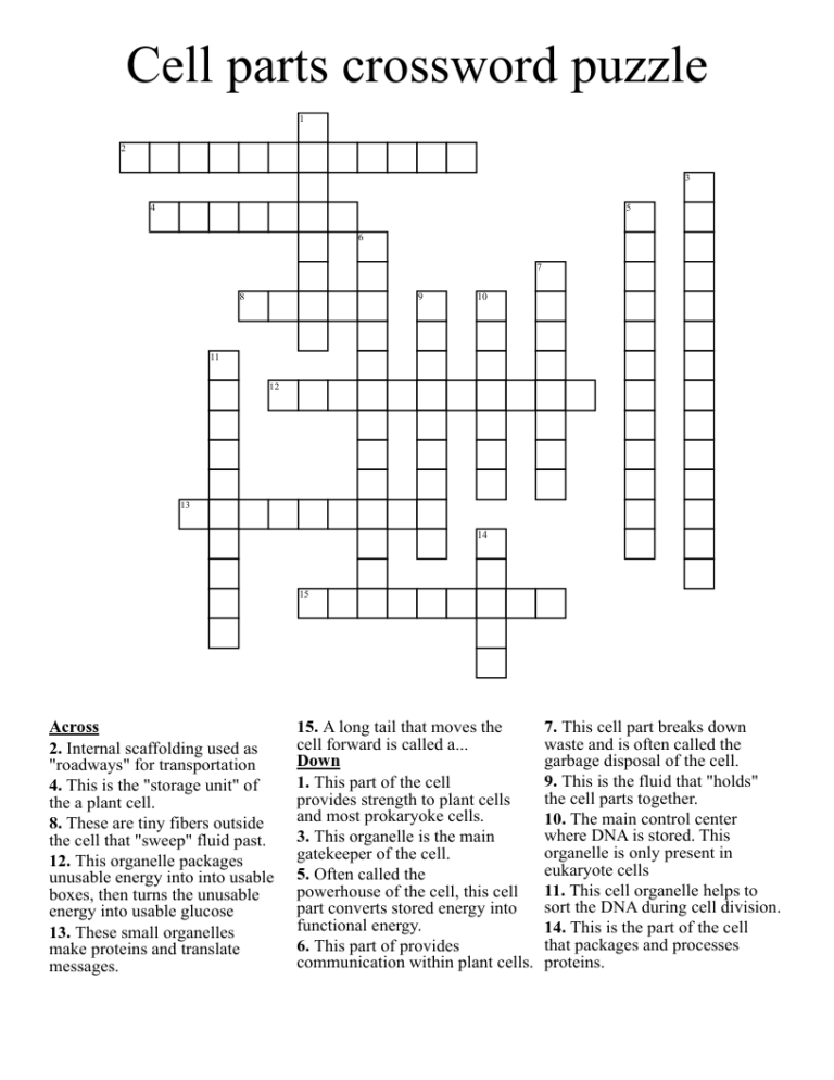 Cell Parts Crossword Puzzle WordMint