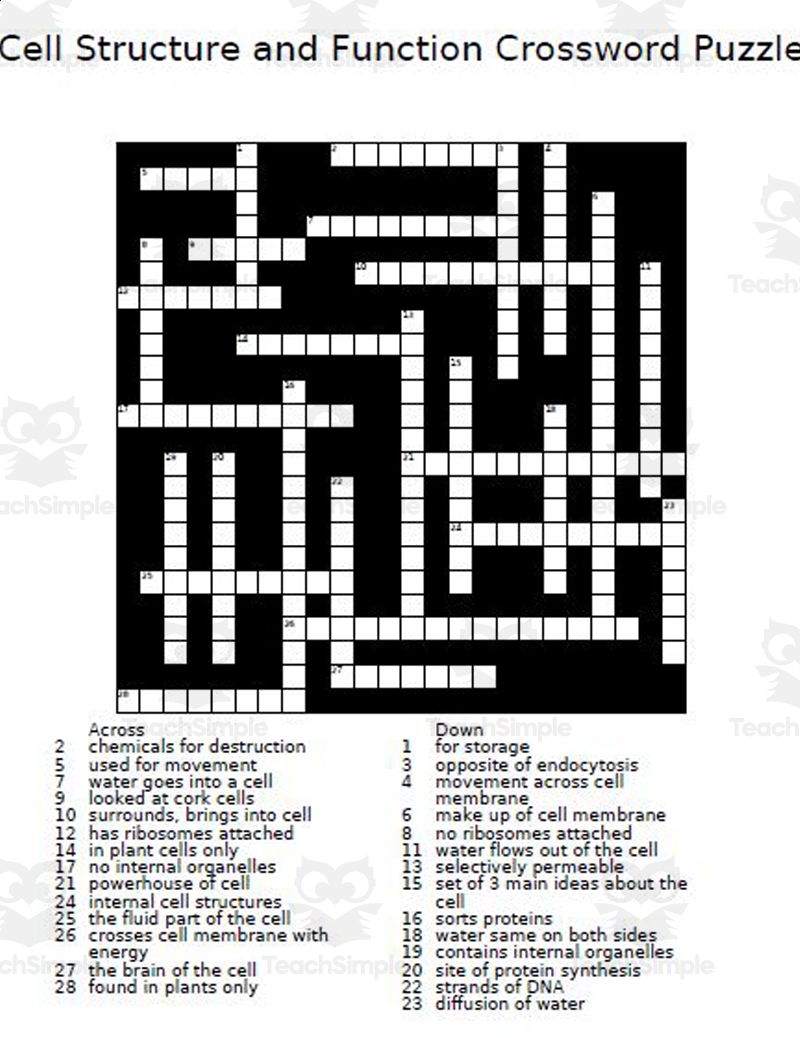 Cell Structure And Function Crossword Puzzle By Teach Simple