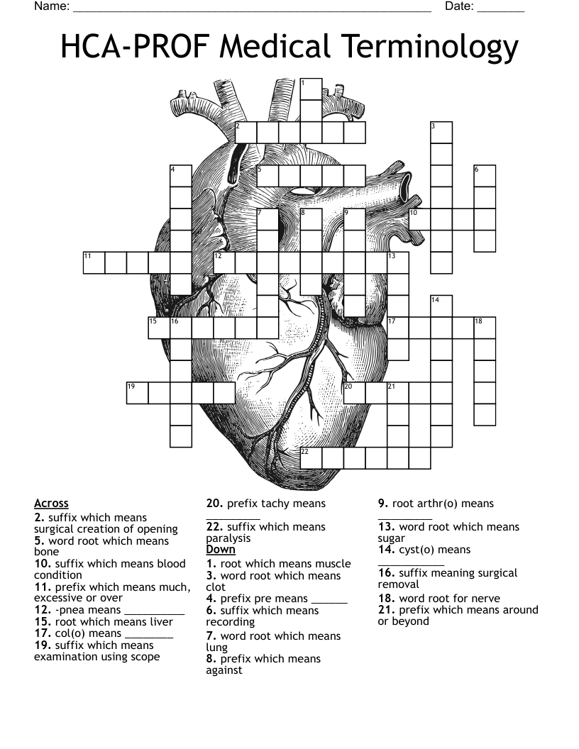 HCA PROF Medical Terminology Crossword WordMint