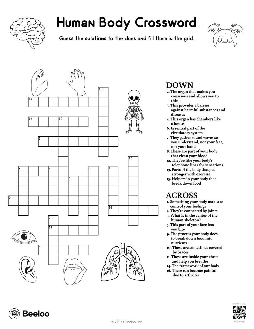 Human Body Crossword Beeloo Printable Crafts And Activities For Kids