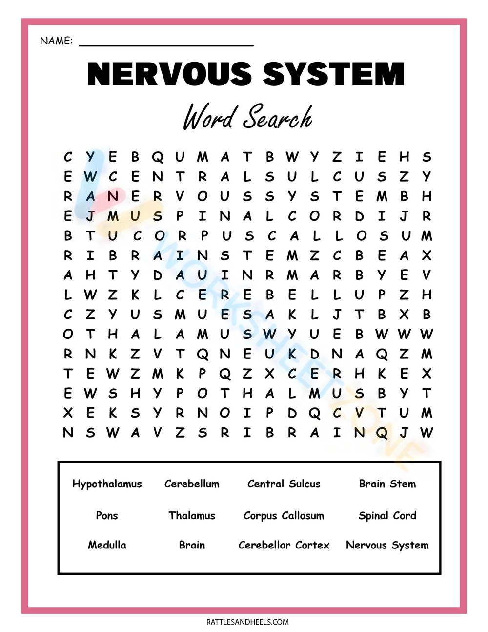 nervous system crossword puzzle printable