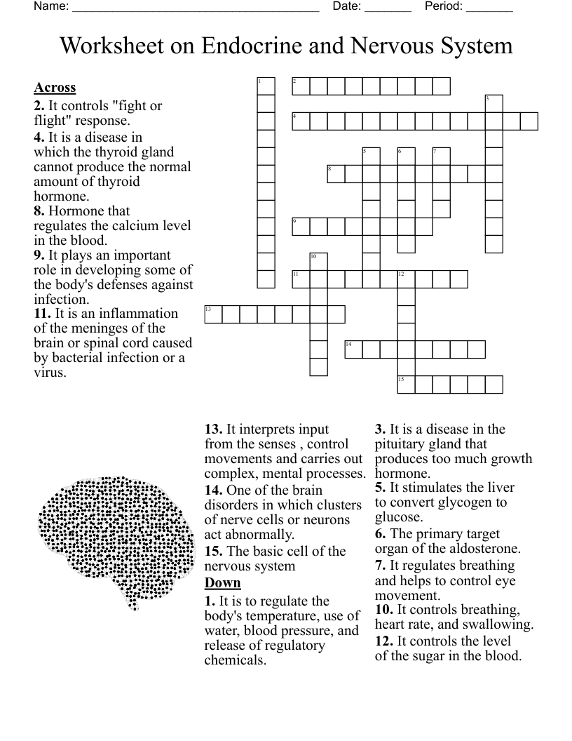 Worksheet On Endocrine And Nervous System Crossword WordMint